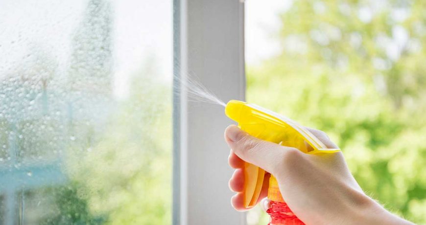 window cleaning wellington