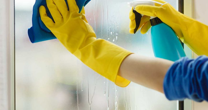 window cleaning wellington